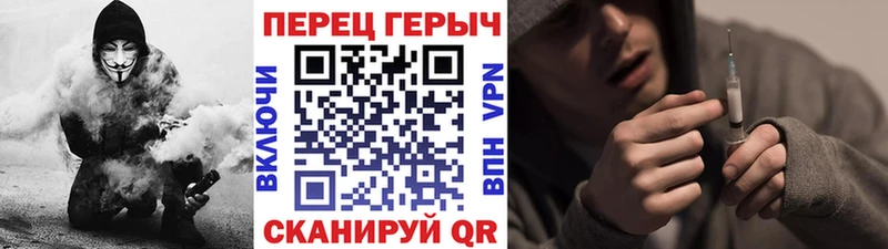 ГЕРОИН хмурый  Великий Устюг 