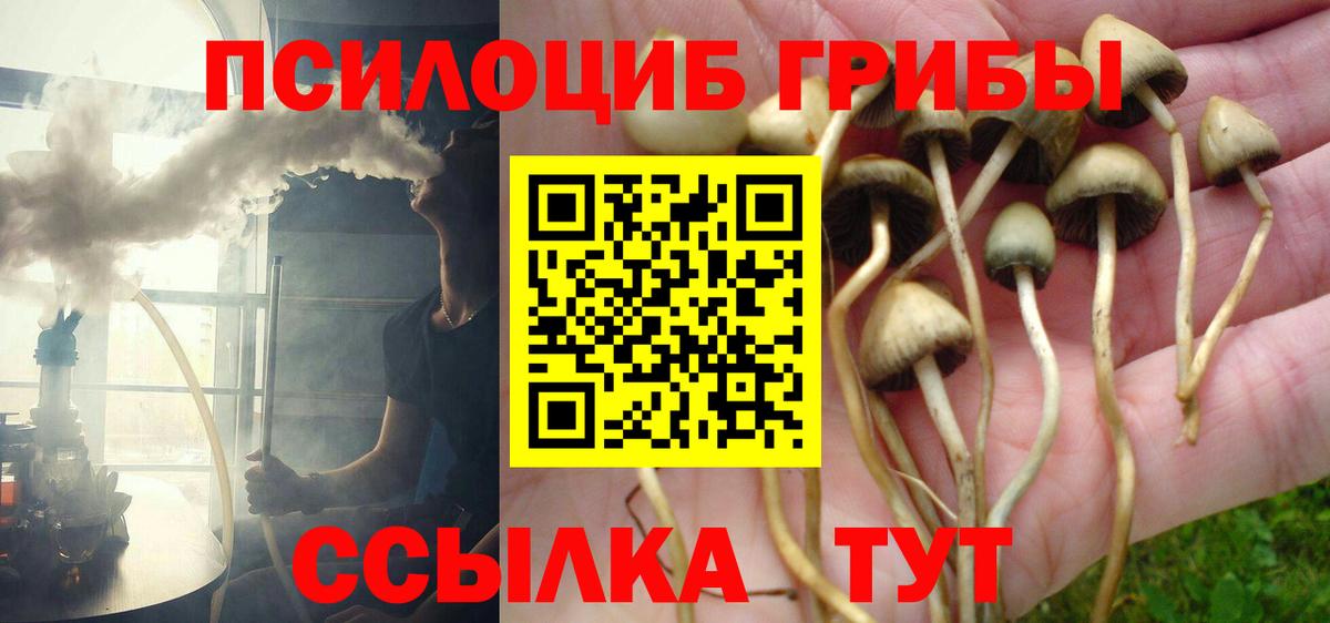 Великий Устюг  Галлюциногенные грибы Psilocybine cubensis  Вход с VPN  Псилоцибиновые грибы Cubensis 