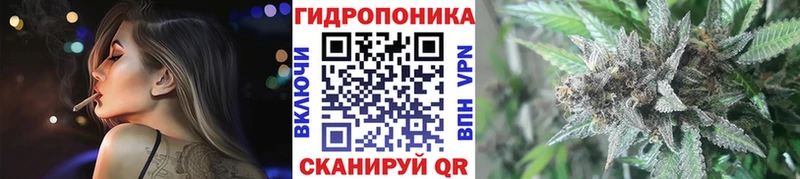 как найти закладки Великий Устюг Бошки марихуана SATIVA & INDICA